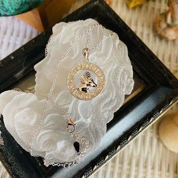 Aries Sterling Silver Necklace - Picture 1 of 5